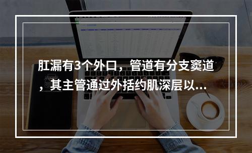 肛漏有3个外口，管道有分支窦道，其主管通过外括约肌深层以上，