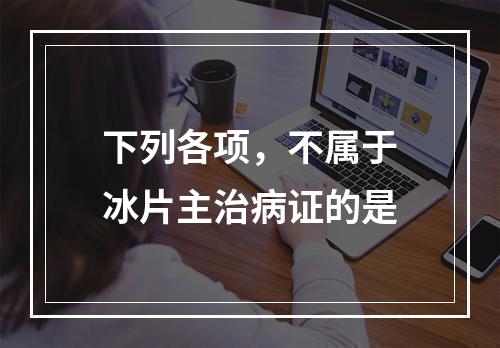 下列各项，不属于冰片主治病证的是