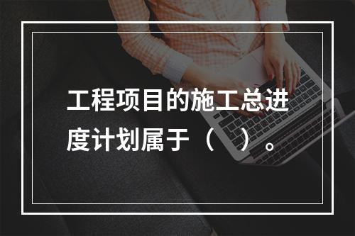 工程项目的施工总进度计划属于（　）。