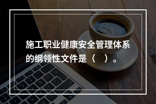 施工职业健康安全管理体系的纲领性文件是（　）。