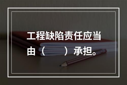 工程缺陷责任应当由（　　）承担。