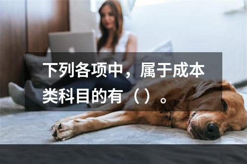 下列各项中，属于成本类科目的有（ ）。