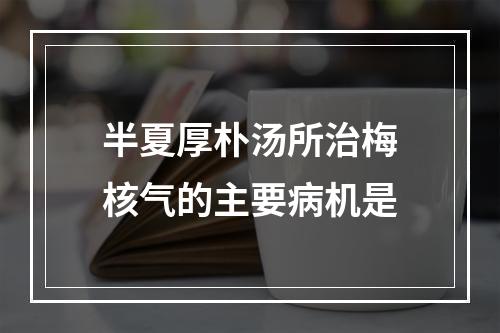 半夏厚朴汤所治梅核气的主要病机是