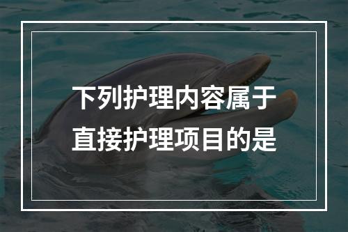 下列护理内容属于直接护理项目的是