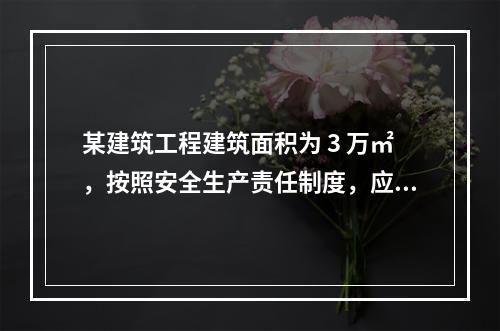 某建筑工程建筑面积为 3 万㎡，按照安全生产责任制度，应配备