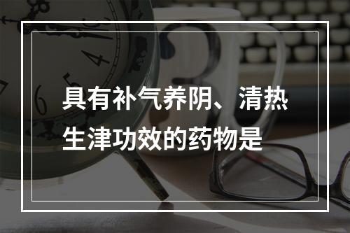 具有补气养阴、清热生津功效的药物是