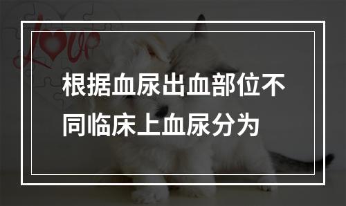 根据血尿出血部位不同临床上血尿分为