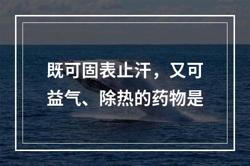 既可固表止汗，又可益气、除热的药物是