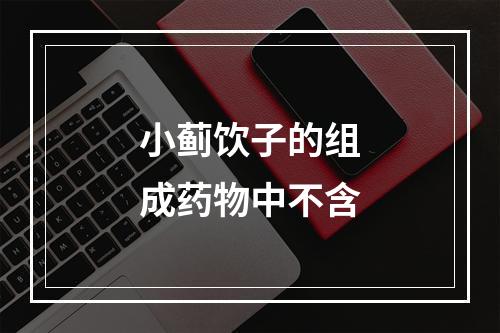 小蓟饮子的组成药物中不含