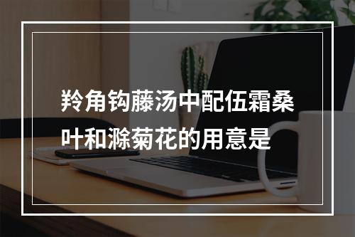 羚角钩藤汤中配伍霜桑叶和滁菊花的用意是