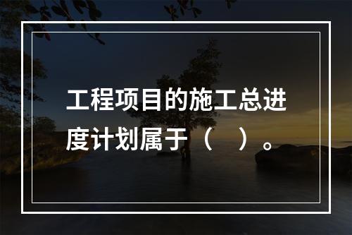 工程项目的施工总进度计划属于（　）。