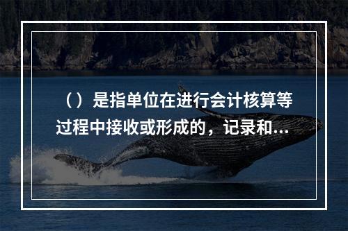 （ ）是指单位在进行会计核算等过程中接收或形成的，记录和反映