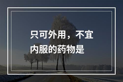 只可外用，不宜内服的药物是