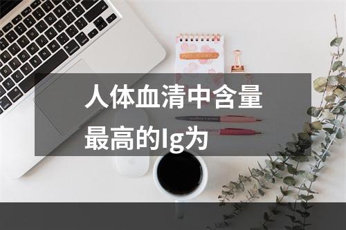 人体血清中含量最高的Ig为