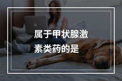 属于甲状腺激素类药的是