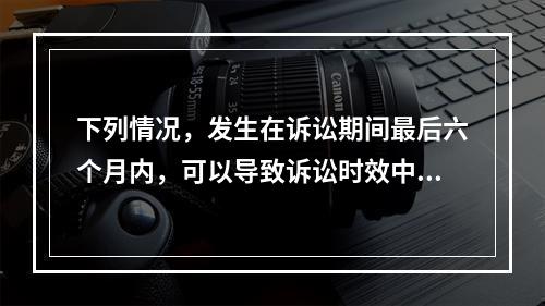 下列情况，发生在诉讼期间最后六个月内，可以导致诉讼时效中止的