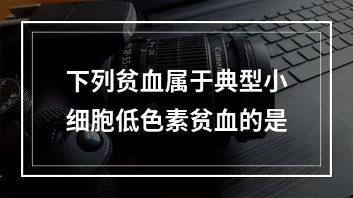 下列贫血属于典型小细胞低色素贫血的是