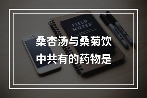 桑杏汤与桑菊饮中共有的药物是