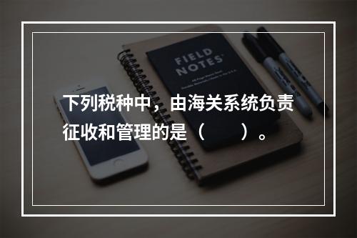 下列税种中，由海关系统负责征收和管理的是（　　）。