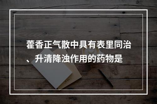 藿香正气散中具有表里同治、升清降浊作用的药物是