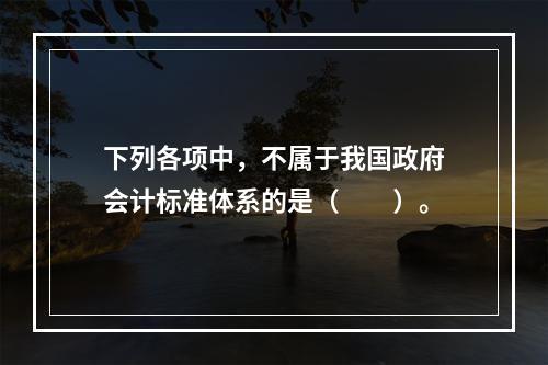 下列各项中，不属于我国政府会计标准体系的是（　　）。