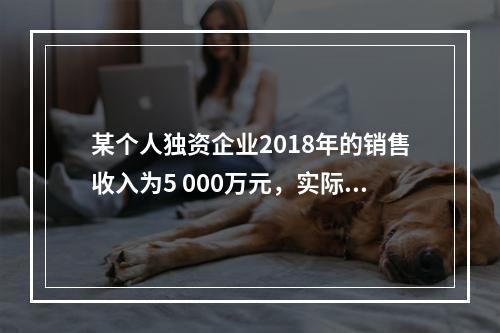 某个人独资企业2018年的销售收入为5 000万元，实际支出