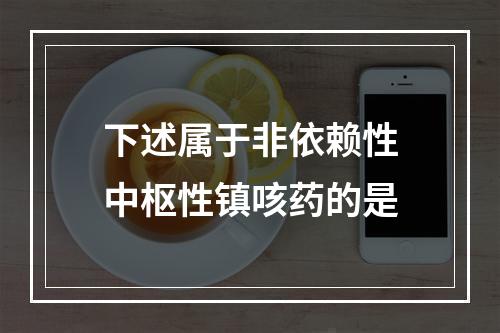 下述属于非依赖性中枢性镇咳药的是