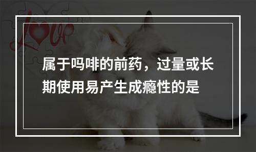 属于吗啡的前药，过量或长期使用易产生成瘾性的是