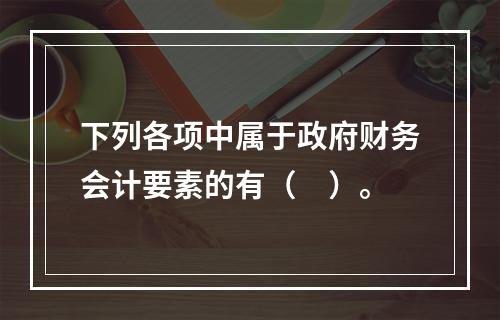 下列各项中属于政府财务会计要素的有（　）。