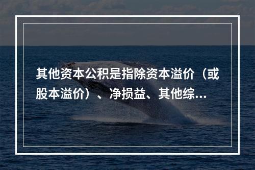 其他资本公积是指除资本溢价（或股本溢价）、净损益、其他综合收