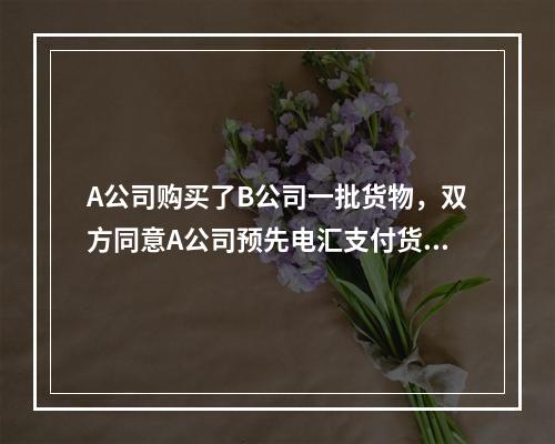 A公司购买了B公司一批货物，双方同意A公司预先电汇支付货款，