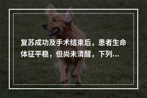 复苏成功及手术结束后，患者生命体征平稳，但尚未清醒，下列哪项