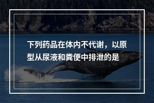 下列药品在体内不代谢，以原型从尿液和粪便中排泄的是