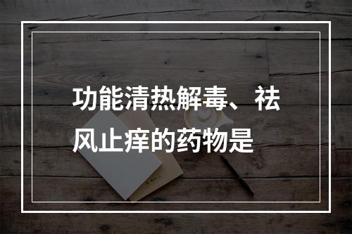 功能清热解毒、祛风止痒的药物是