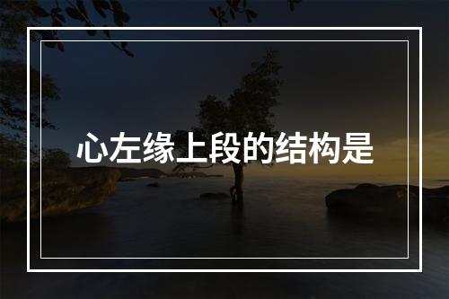 心左缘上段的结构是