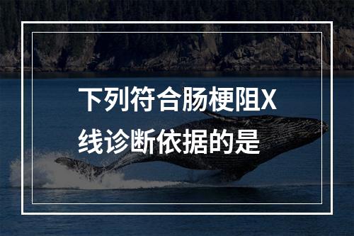 下列符合肠梗阻X线诊断依据的是