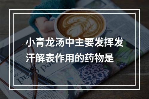 小青龙汤中主要发挥发汗解表作用的药物是