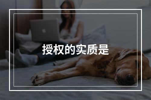 授权的实质是