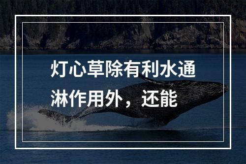 灯心草除有利水通淋作用外，还能