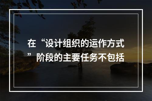 在“设计组织的运作方式”阶段的主要任务不包括