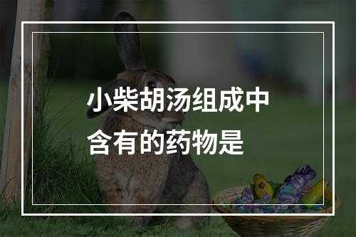 小柴胡汤组成中含有的药物是