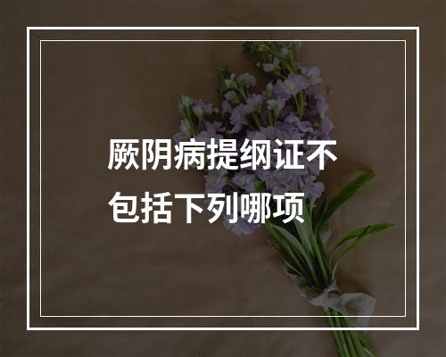 厥阴病提纲证不包括下列哪项