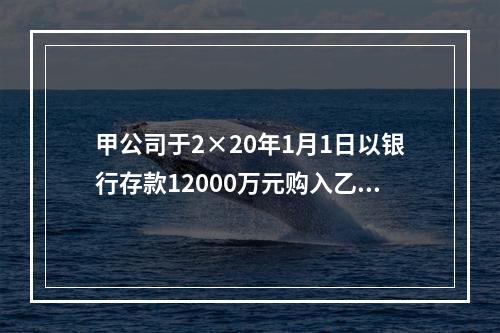 甲公司于2×20年1月1日以银行存款12000万元购入乙集团