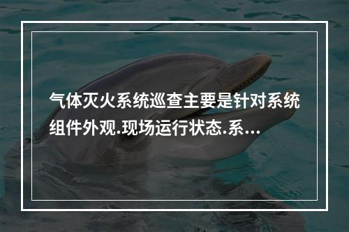 气体灭火系统巡查主要是针对系统组件外观.现场运行状态.系统检