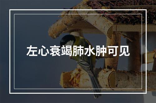 左心衰竭肺水肿可见