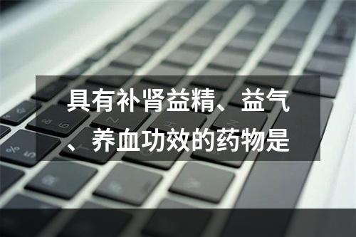 具有补肾益精、益气、养血功效的药物是