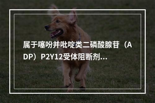 属于噻吩并吡啶类二磷酸腺苷（ADP）P2Y12受体阻断剂的是