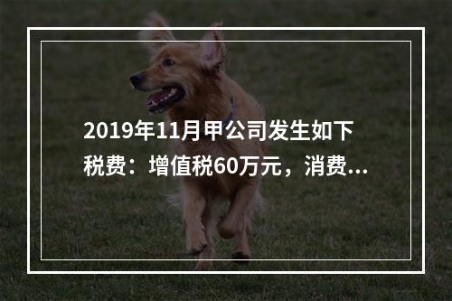 2019年11月甲公司发生如下税费：增值税60万元，消费税8