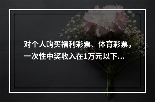 对个人购买福利彩票、体育彩票，一次性中奖收入在1万元以下的（