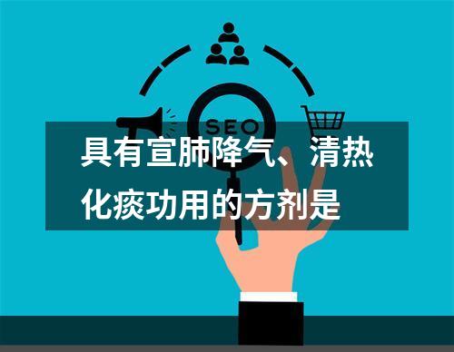 具有宣肺降气、清热化痰功用的方剂是